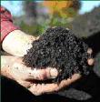a handfull our rich top soil 