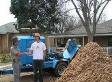 Denver, Colorado tree and stump removal