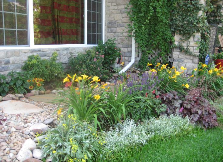 perennial garden colorado