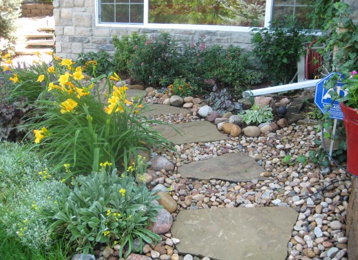dwarf yellow day lilly and flagstone path