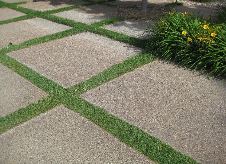concrete paver patio in lawn