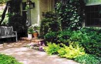 Front walkway and evergreen shrubery