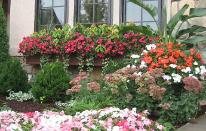 window box and colorful perennials